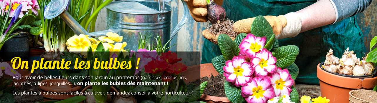 planter-bulbes-printemps